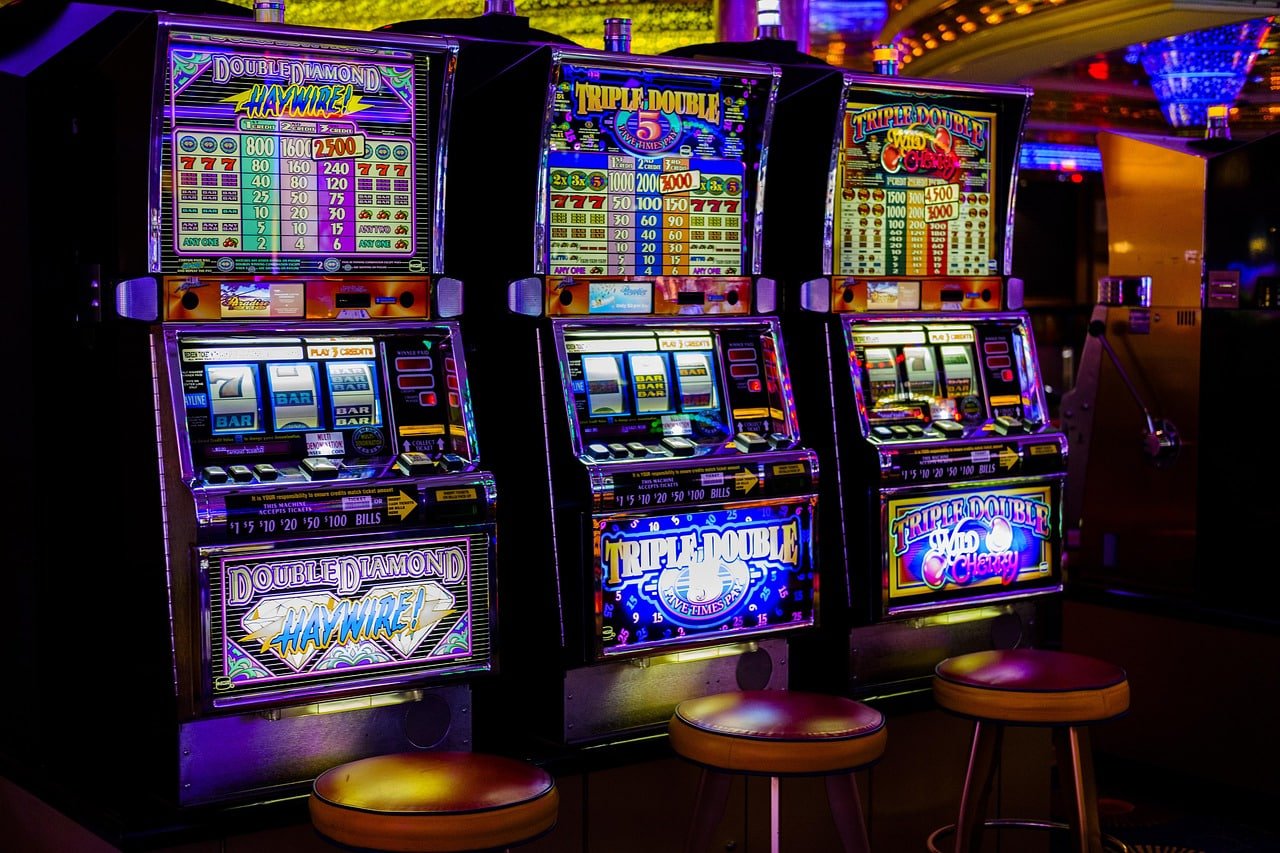togel keluar platform dashboard overview
